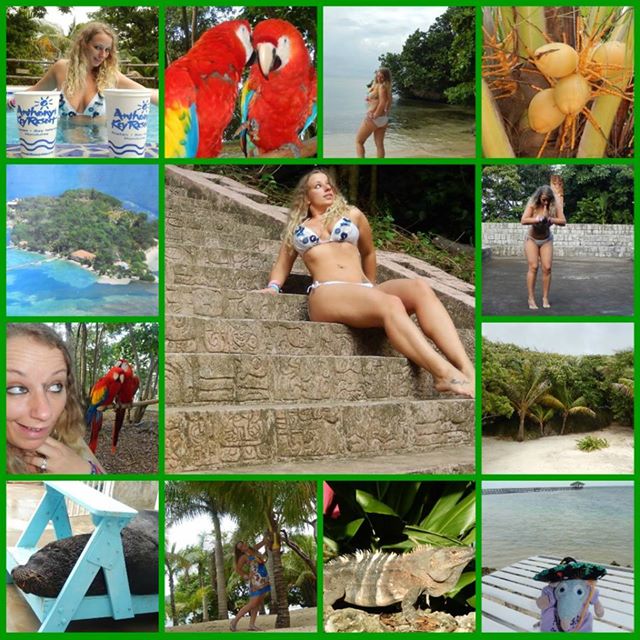susiqbabypoo's tweet photo. #MayaKey #Honduras #paradise #schnoopschnoops http://t.co/b4at0lExGV