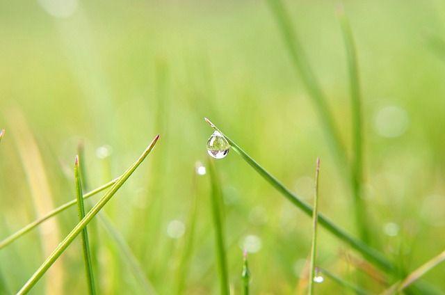 libe's tweet photo. Pourquoi la campagne sent-elle si bon après la pluie ? http://t.co/BZL9aSb0hK http://t.co/s1YspoCP5M