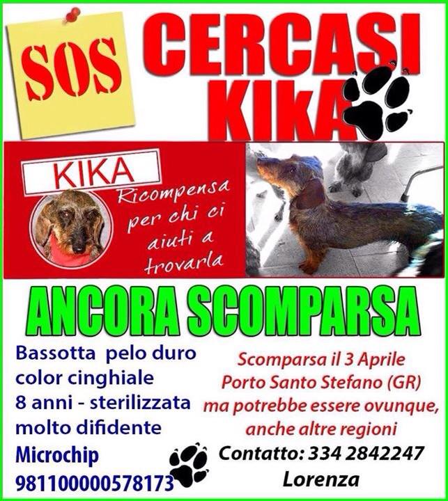 canismarriti's tweet photo. Cercasi Kika disperatamente! #canismarriti http://t.co/kLzPNXT37C