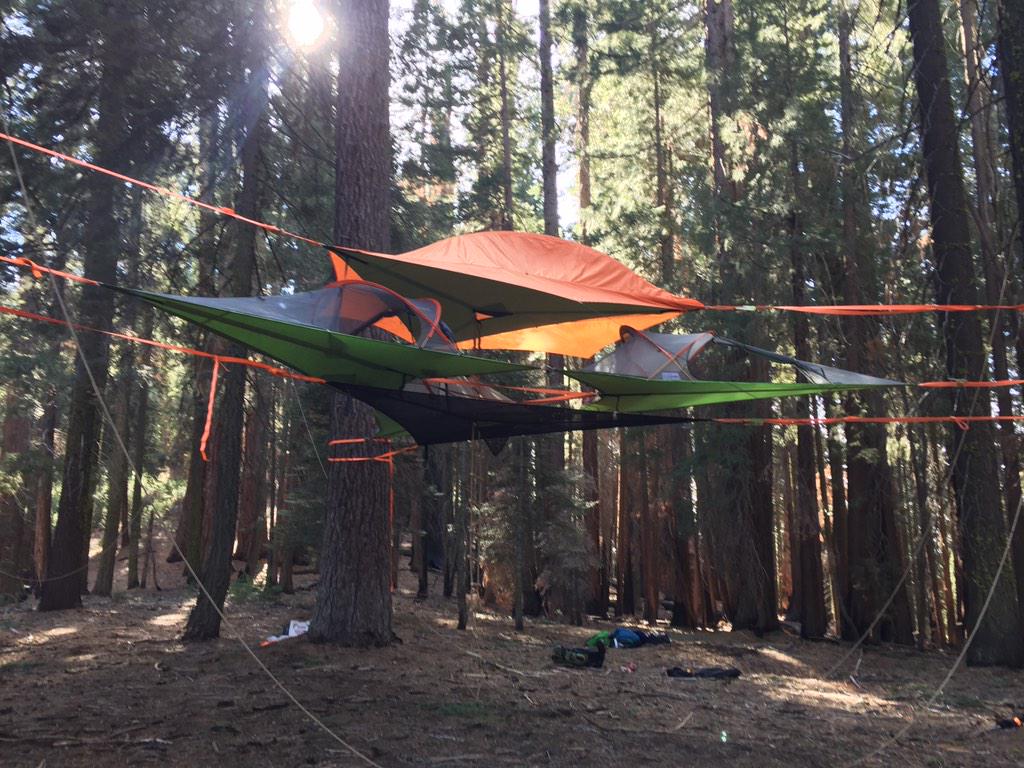 siennatheg's tweet photo. Had so much fun meeting the @tentsile crew at the Tentsile City Event in Sequoia National Park #treehousefun http://t.co/9HpUJDI9TP