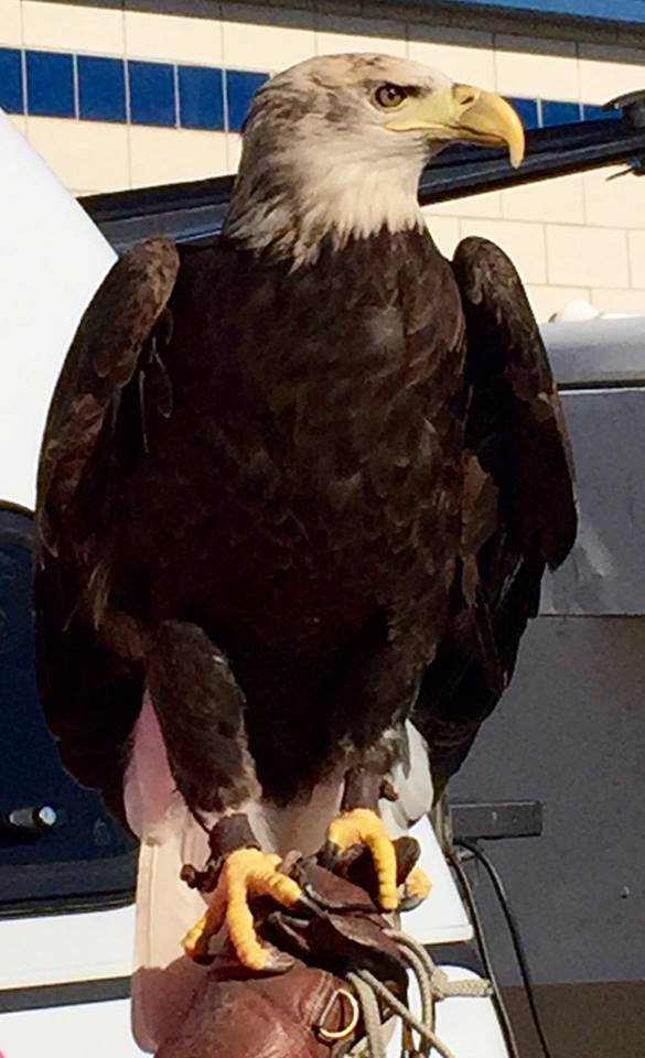 EmoryTXEDC's tweet photo. Thank you to all who came to #EagleFest2015 in Emory! If you missed it, stay tuned for next year's details! http://t.co/NiqYvbqvKl
