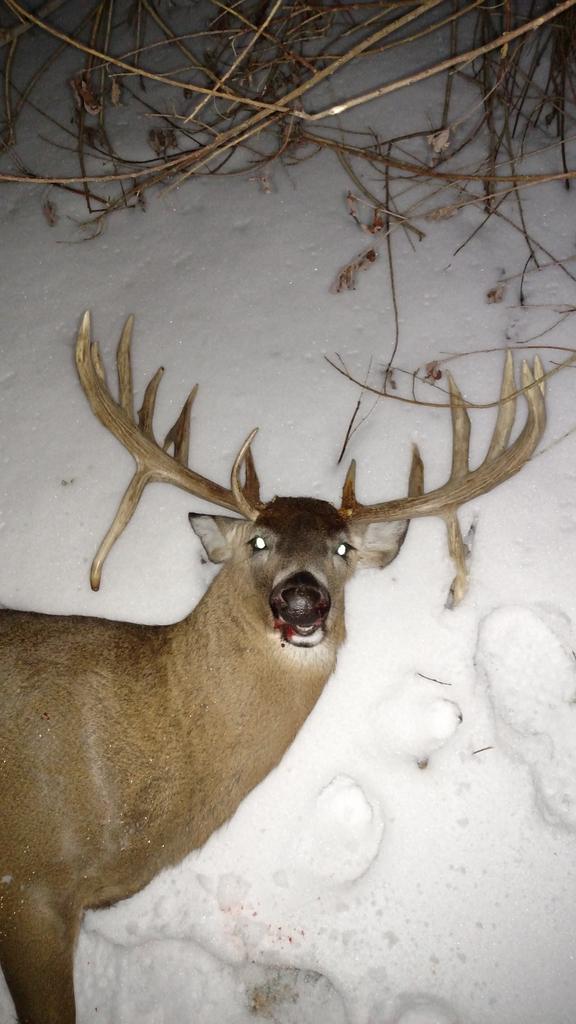 BillHdstc's tweet image. Dropped this big boy in Springfield Ohio south of Akron