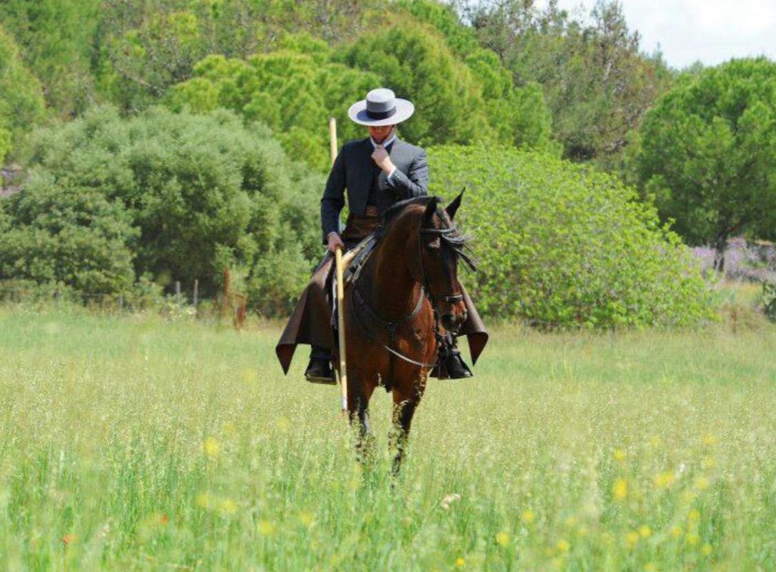 GanaderiaMPG's tweet photo. Bonita estampa para los aficionados al caballo http://t.co/IIvKnFImhp