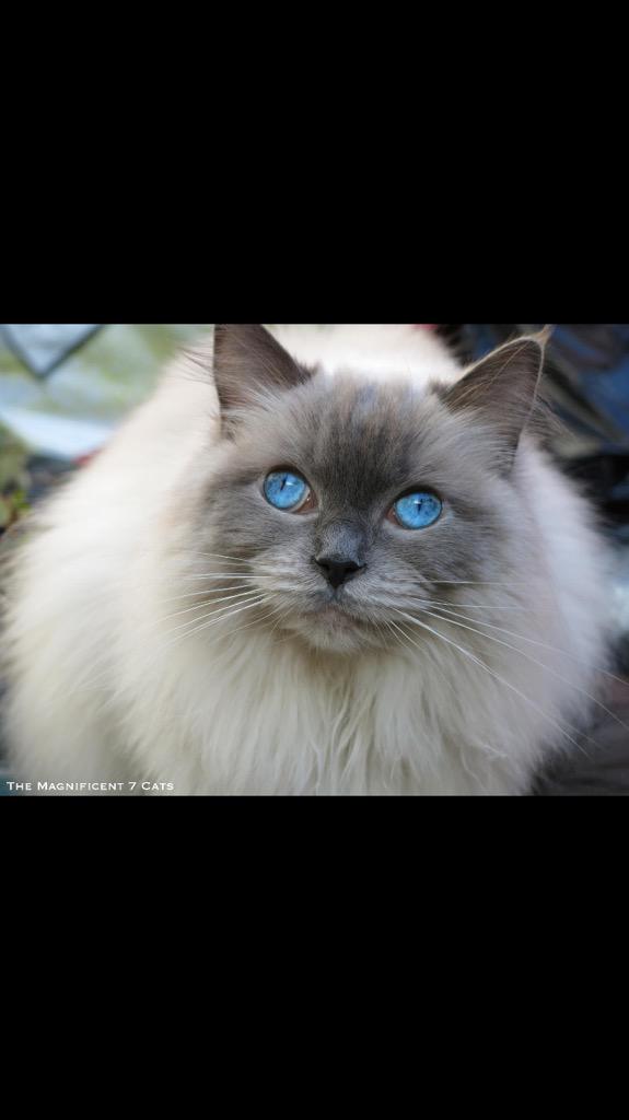 JankMany's tweet image. 