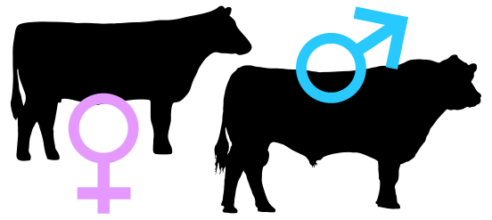 kilimo254's tweet photo. This is amazing indeed! It’s every dairy mans dream. http://t.co/jHZXuBCnXy http://t.co/YimDnMaL4Z