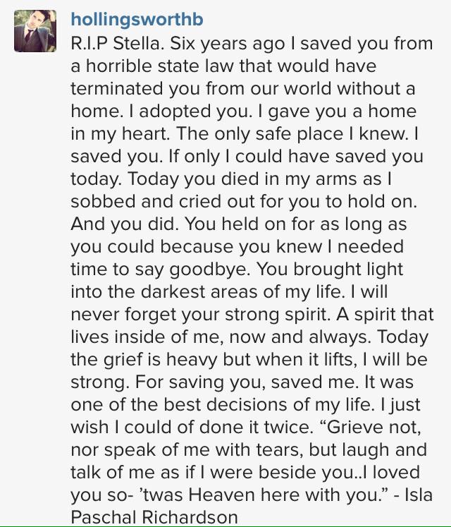 MotherEarth4's tweet photo. Actor Ben Hollingsworth writes an heartbreaking letter to his dog Stella... http://t.co/nINzjNzhK4