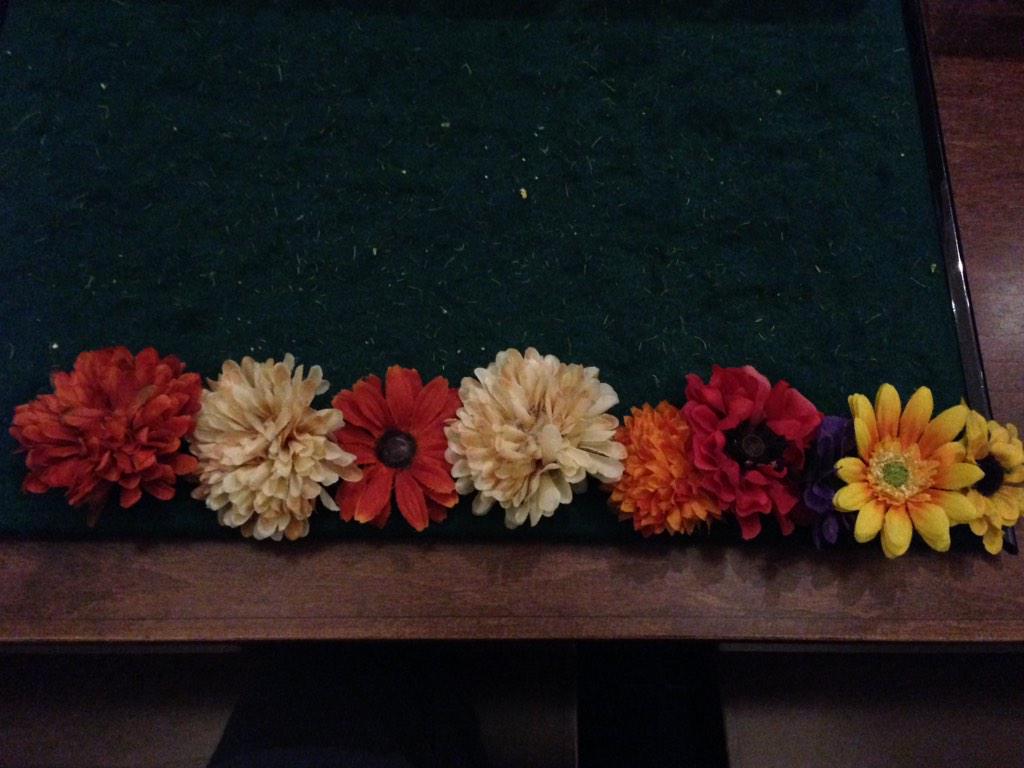 museolojess's tweet photo. '#musesocial' in floral code (minus the M as I couldn't decipher which one it was!) #decodinghistory @FolgerLibrary http://t.co/6TbTixqCFB