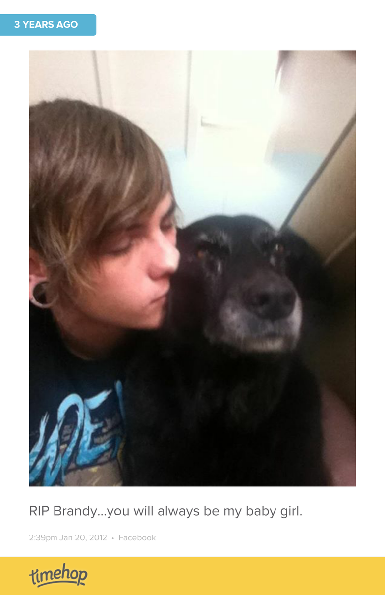 SweepTheBunny's tweet photo. Three years ago the world lost th http://t.co/p3CPkHsfr6 http://t.co/XPYecjHamB