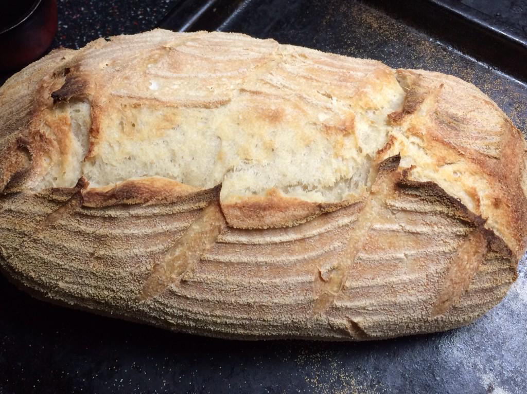 <a href="/Foodwatch/">Foodwatch</a> Yes Catherine:a 'new' craze for a food that's 1,000s of years old! See more <a href="/breadtopia/">Breadtopia</a> <a href="/GRISTANDTOLL/">Grist & Toll</a>