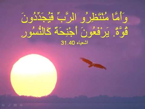 الطريق المُمهد لعبور حب الله