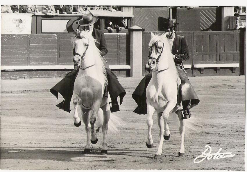 Yeguada Agricola Peralta tweet media