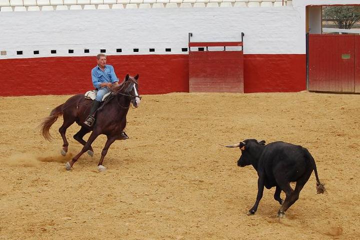 Yeguada Agricola Peralta tweet media
