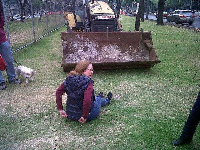 momeyka73's tweet photo. @Avaaz construcción de puente vehicular motivo para matar mas de 1500 arboles @sanjoseinsurgen @InMixcoac ayuda!!! http://t.co/UkoFMyPosF