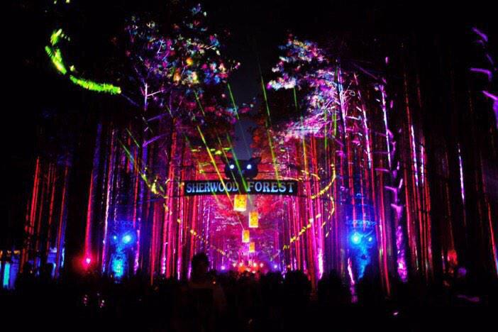 PLURBunnies's tweet image. #GoalsFor2015 go to #ElectricForest🌲🎉🔊