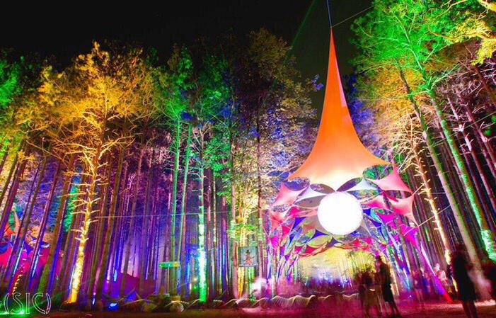 PLURBunnies's tweet image. #GoalsFor2015 go to #ElectricForest🌲🎉🔊