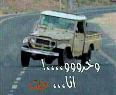 محمد عوض  (@d3bb1279b5c545f) on Twitter photo 