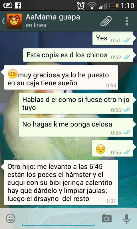tiskurry's tweet photo. #mami hablando de su agaponix jajaja http://t.co/Sa7qPIqR6O