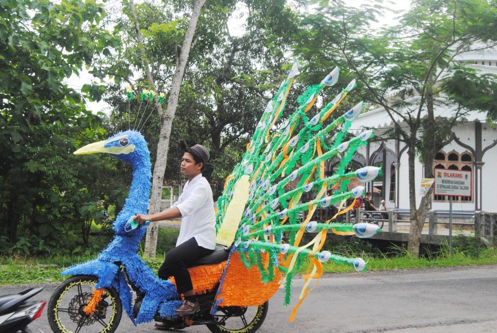 440 Gambar Burung Merak Untuk Sepeda Hias Gratis