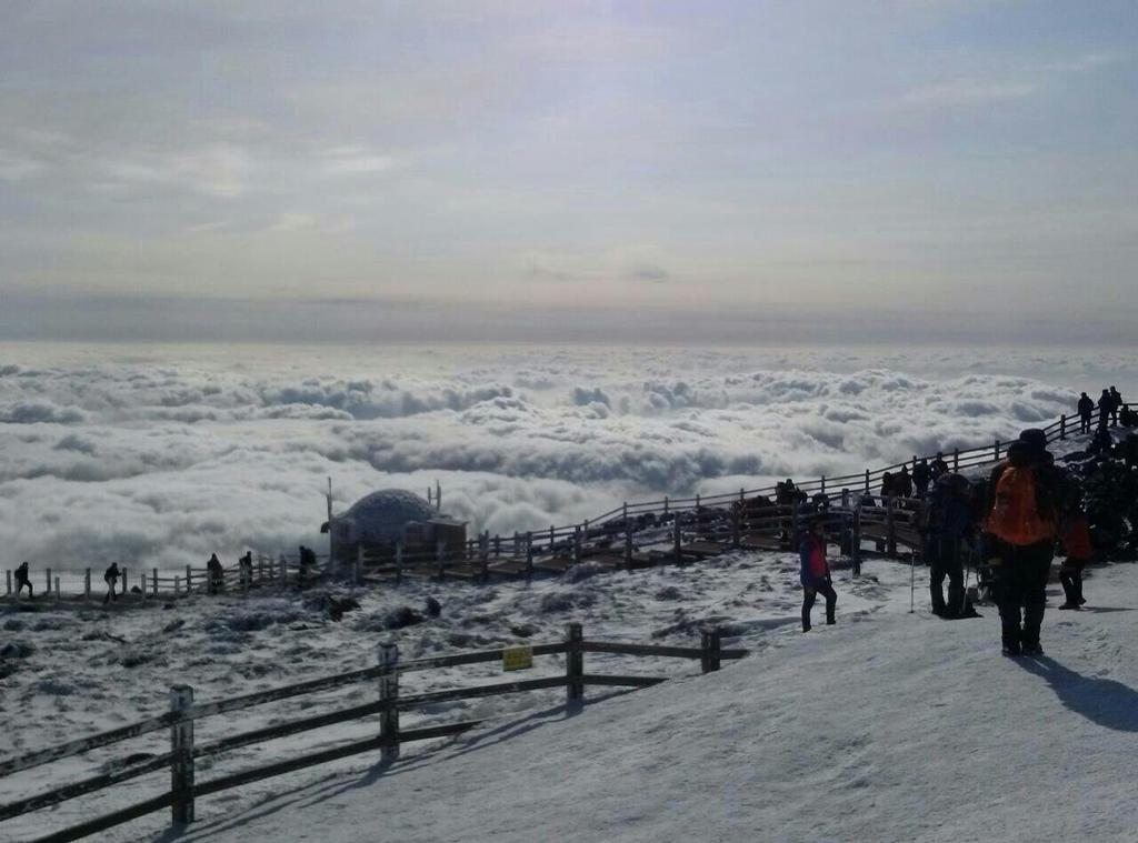 Bodycurll's tweet image. Hallasan stands out at the center of South Korea's southernmost island