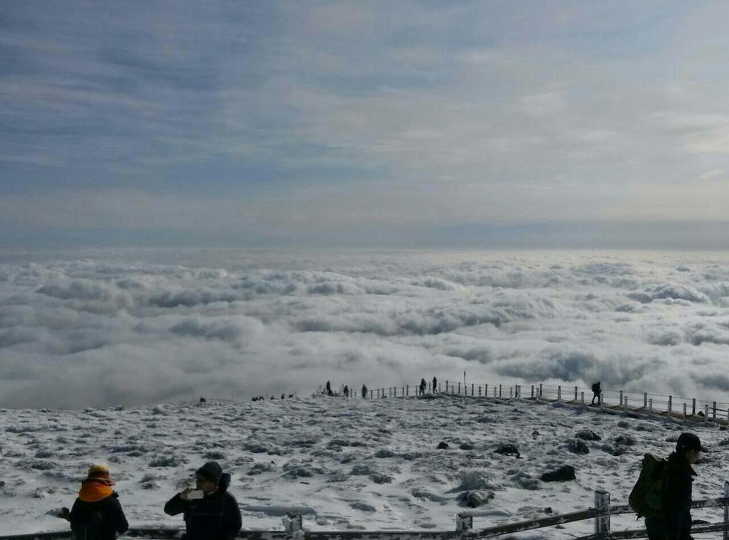 Bodycurll's tweet image. Hallasan stands out at the center of South Korea's southernmost island
