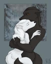 AlphaWolfMel's tweet image. We may not can control our human nature and remember you completely but our love as wolves are always a strong bond.