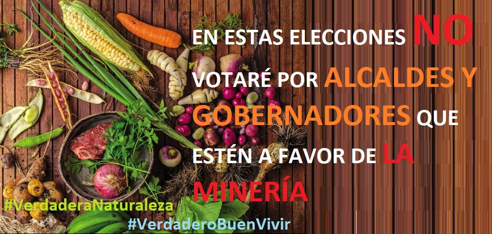 BuenVivir3's tweet photo. EN ESTAS ELECCIONES NO VOTARÉ POR ALCALDES Y GOBERNADORES QUE ESTÉN A FAVOR DE LA MINERÍA http://t.co/yXFCXUAtKi
