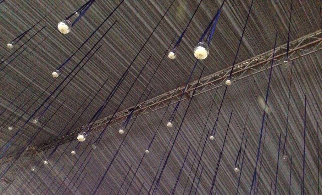 Para acabar este martes les dejamos esta foto del #JardinMayita