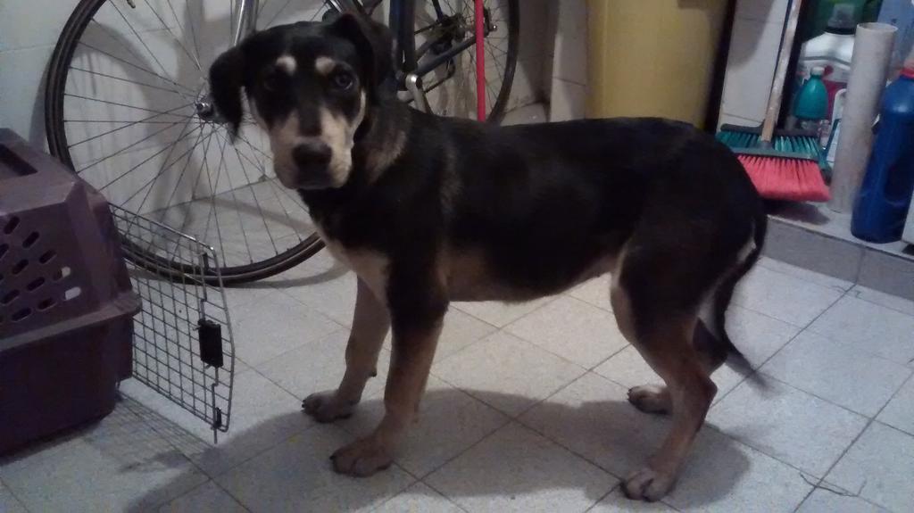 Tsayamhall Esquivel tweet media