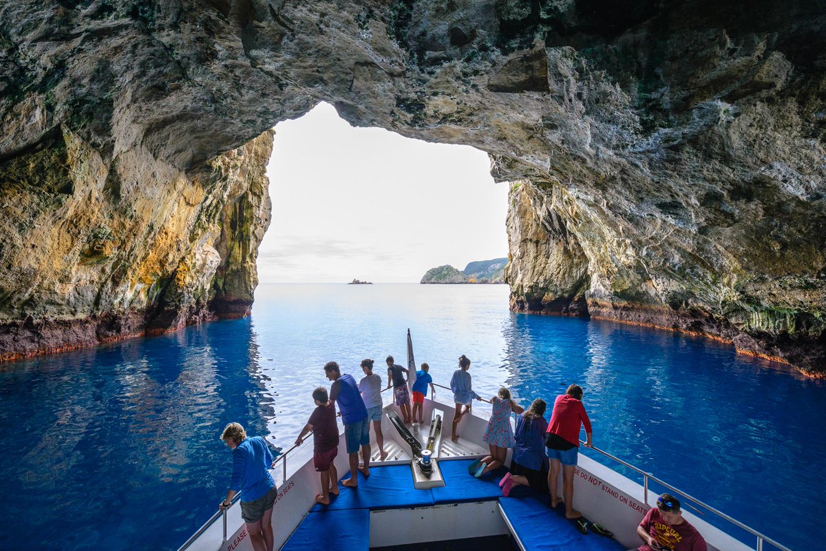Amazing trip today to the Poor Knights with <a href="/DiveTutukaka/">Dive! Tutukaka</a>. Riko Riko Cave was totes amazeballs: