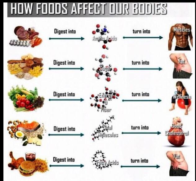 Bodybuilding Food Chart