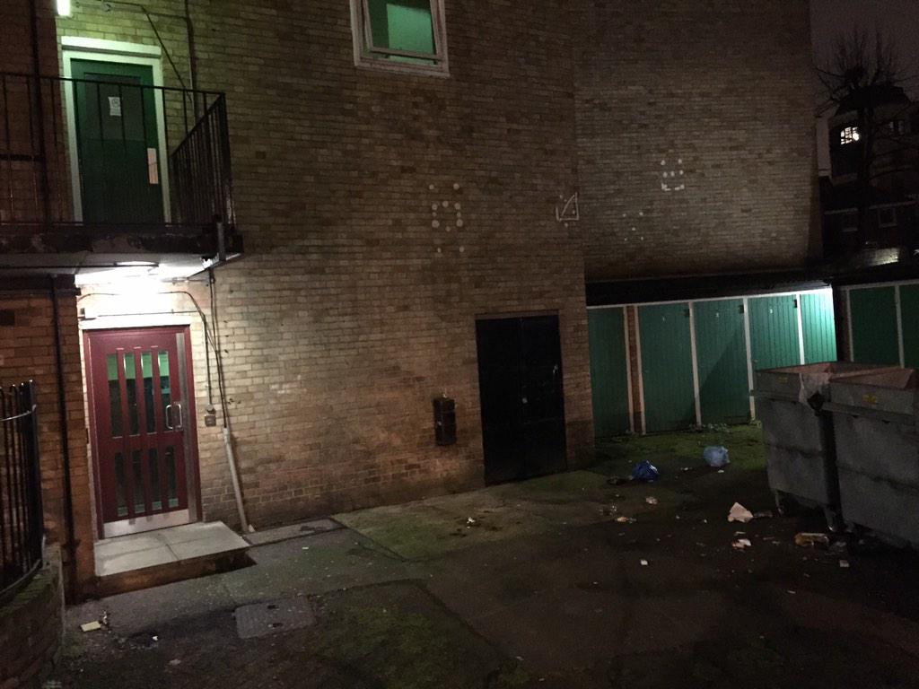 dingosoftware's tweet image. My neighbours are launching the rubbish from the balcony and now its full of rats @camdentalking