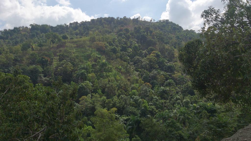 Projebull's tweet image. #Haiti #paradise #tourism