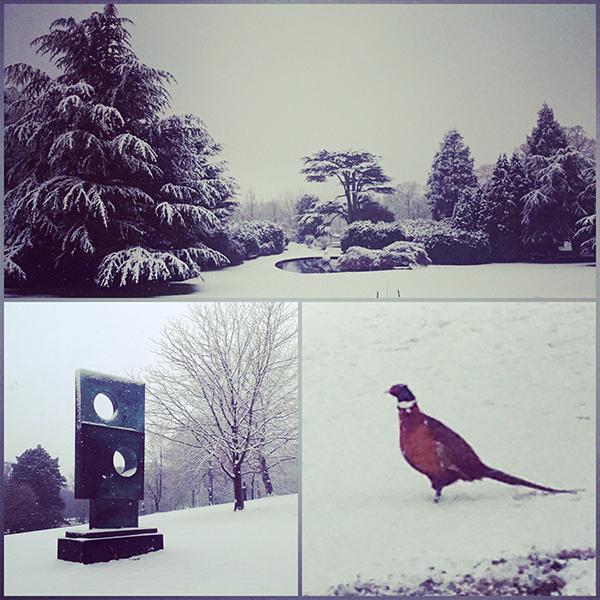 YSPsculpture tweet picture
