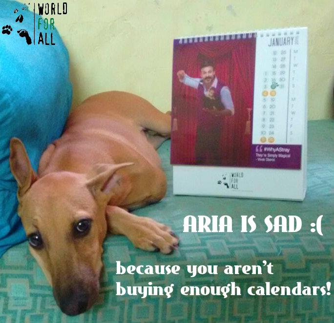 worldforall's tweet photo. Make Aria happy!
Get your hands on the wonderful WFA #WhyAStray Calendar at http://t.co/Jlrqvb3R53 today! http://t.co/AofDzvJ5q5