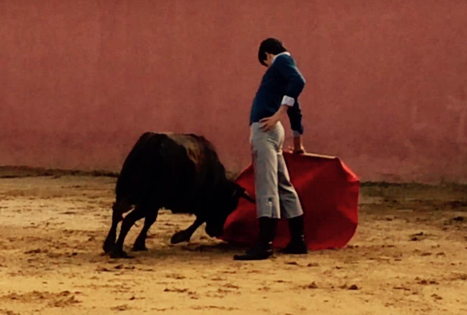 tauraula's tweet photo. @GalanTorero y @JavierorozcoR de tentadero en Torrehandilla y Torreherberos junto a Vicente Ruiz "El Soro" http://t.co/cnQyR0q2sD
