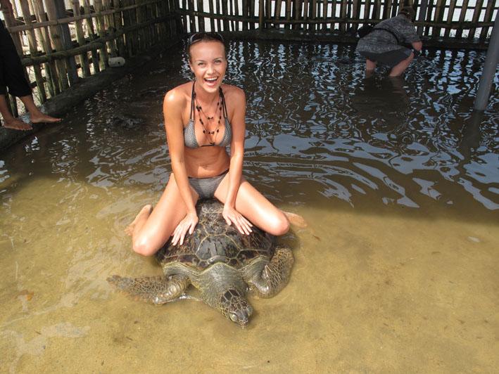 ToursLine's tweet image. Turtles Island in Bali - only 20 USD / person!
tours-line.com/#!turtles-isla…