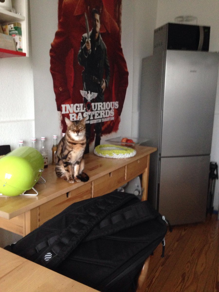OddNina's tweet photo. Blinzelshowdown in der Küche. #teampippin #Shireling http://t.co/jQJFtcawLD