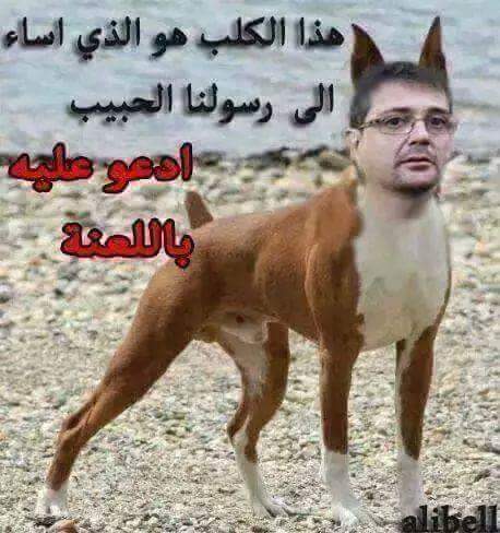 AdamRahmet tweet picture
