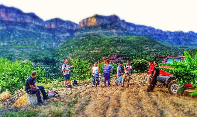 CellerDevinssi's tweet photo. Al 2014 ens vam obrir més al #senderisme amb @elbrogit http://t.co/930gAow4Af
#highlights2014 #Priorat #enoturisme http://t.co/jQbnzvUk8j