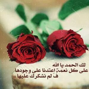 عماني مدريدي.. (@mubarak393) on Twitter photo 