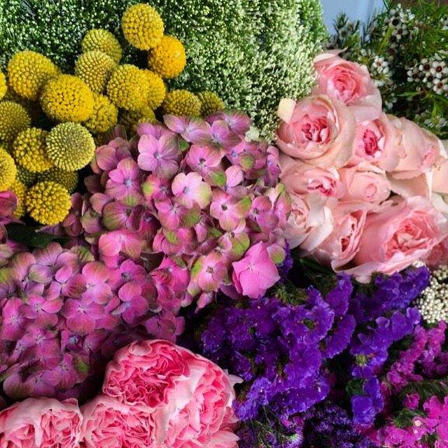 Frío, frío, frío, pero qué vamos a hacer... es lo que toca!! 😰 Flores para poner un poco de calorcito...💕