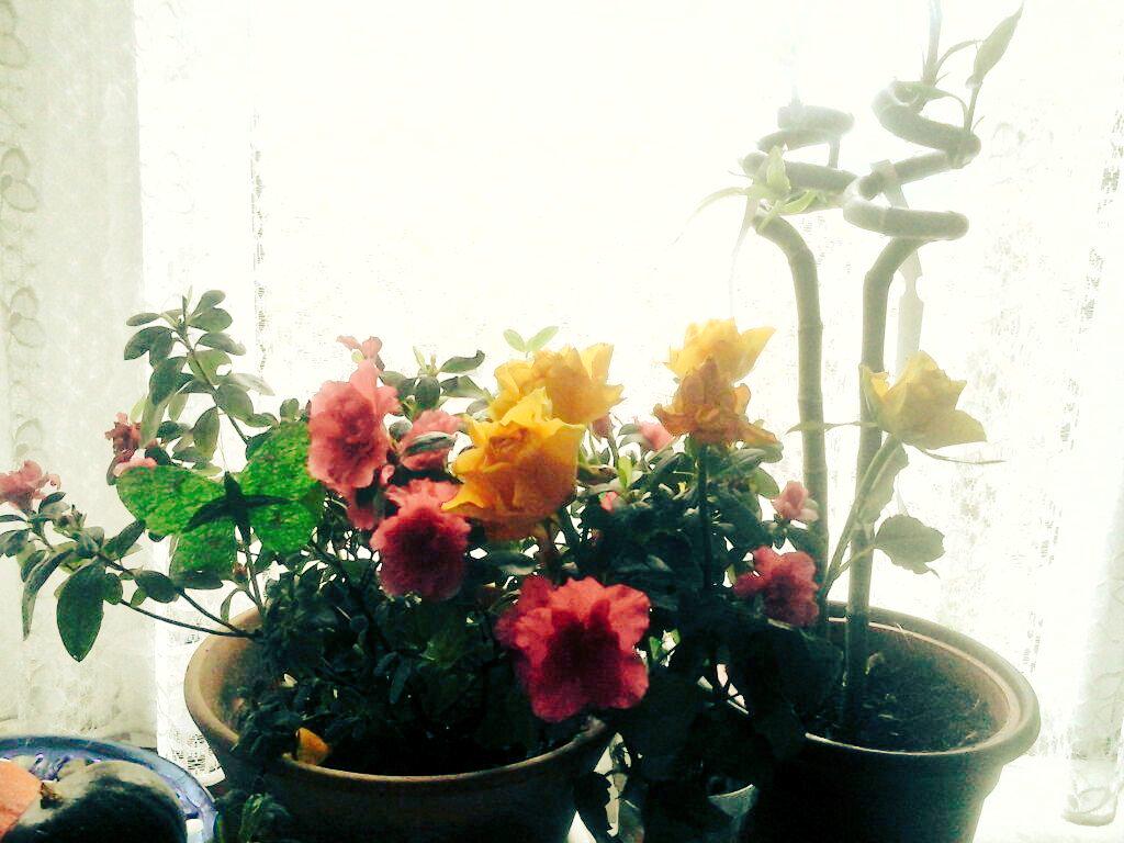 Jee Parma tweet media