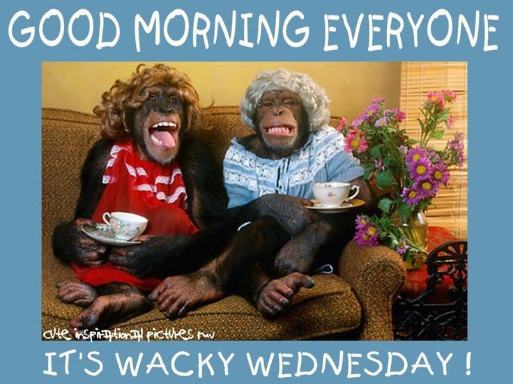 MayoAtAClick's tweet photo. Morning all! #wednesday #HumpDay #irishbizparty 
http://t.co/tIHNdwj25j http://t.co/bhowrUSAip