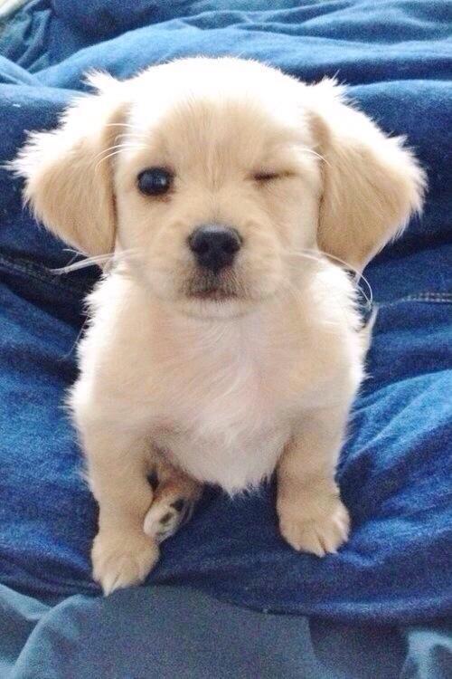 ComedyAIIDay's tweet photo. when bae is looking fine http://t.co/4NfKS1SHzQ