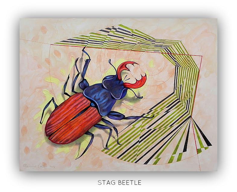vivimaxia's tweet photo. StART_Up! @mediterranea
#ARS_CORTESE @federicocortese
STAG BEETLE
#TheMeasurementOfSpace
http://t.co/3gOTdo2GpK http://t.co/8A3UNLRc5Q