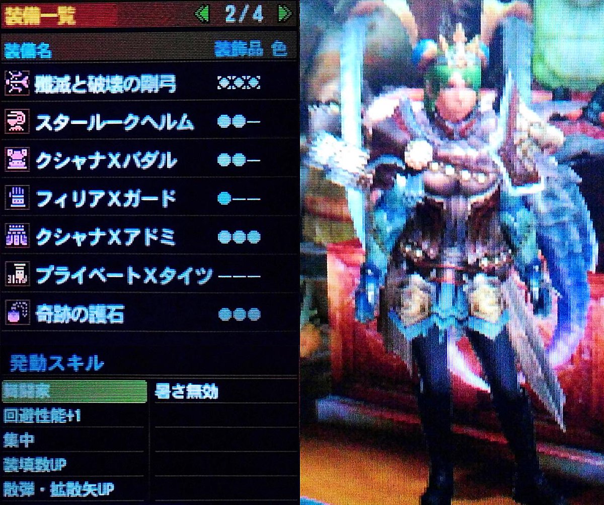 Mh4g火力装備