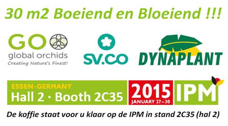 DynaplantNL's tweet photo. 30 m2 bloeiend en boeiend! #ipm2015 Samen met De Vreede Holland en @SVCOmpanies http://t.co/ABlwPl4gt5