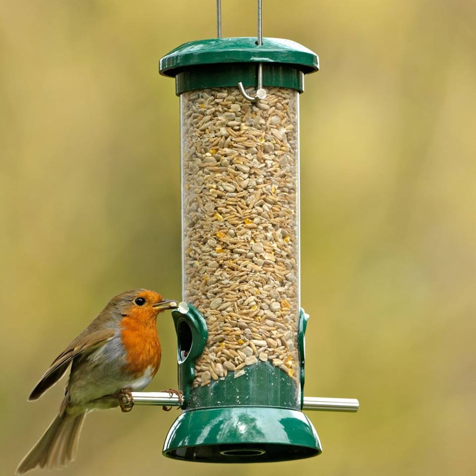 Don't forget to feed the birds during this cold weather.
25kg Chirpy Wild Bird Peanuts - €49.99