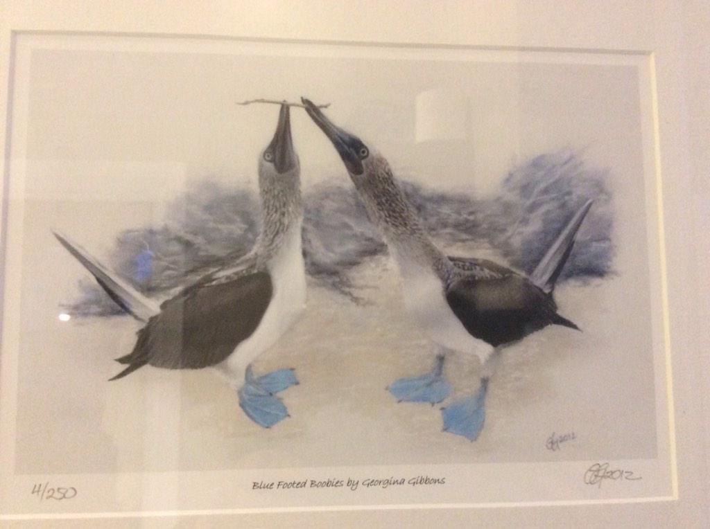 Sarah Umetsu tweet media