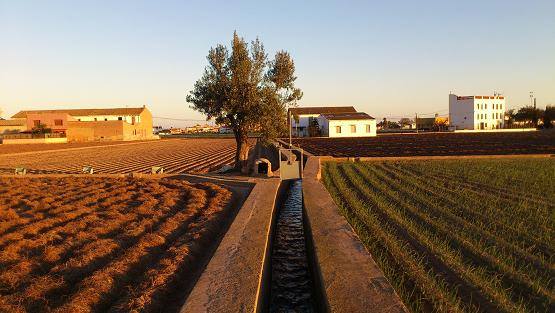 Hui a les 20h, piulada massiva en defensa de l'Horta contra el PGOU de l'Aj. de València. L'HT triat: Hortaésfutur.